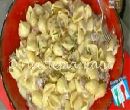 Conchiglie di Antonella - Anna Moroni
