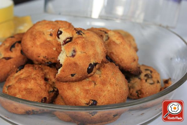 Biscotti al miele e mirtilli rossi