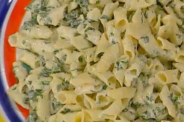 Garganelli robiola e rucola