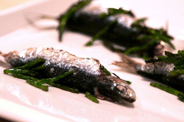 Salicornia con sarde al miele - Alessandro Borghese