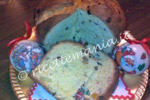 Panettone