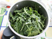 Pesto di rucola