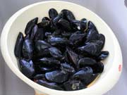 Pasta con le cozze