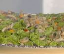 Pappardelle verdi con funghi e castagne