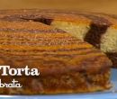 Torta zebrata - I menu di Benedetta