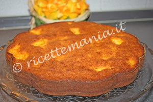 Torta di carote e albicocche